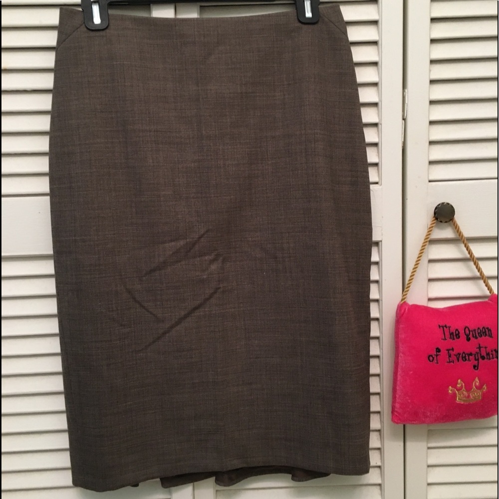 Ann Taylor Skirt